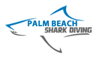 An image of the Palm Beach Shark Diving Logo